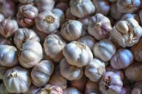 Who can use Fresh garlic 