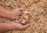 Wood chip