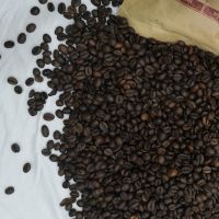 Arabica Coffee Bean 