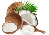 Organic Dessicated Coconut 