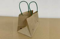 Wet strength Brown Kraft Paper Grape Bags With Handle for 500-1000g grapes