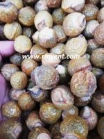 Rmy Best Quality Soap Nuts
