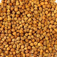 Brown Chickpea