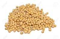 Soyabean oil Seeds