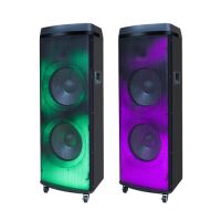 High Power Dual Sub-woofer Party Speaker System BK-172B