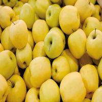 Bulk fruits fresh apples yellow apple fruit red fuji