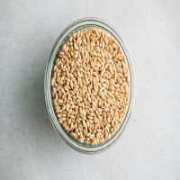 Wheat Grain High Quality Bulk Sale Lowest Price Wheat Grains