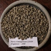 Coffee Beans Coffee Beans Export High Quality Arabica Green Coffee Beans