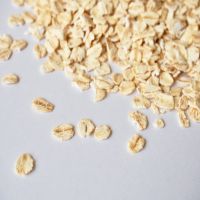 Non GMO Wholesale Oats Grain Organic Oats Seeds