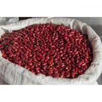 Sweet Small Square Red Kidney Beans for Paste or Powder Price