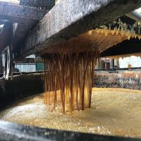 Waste vegetable oil/UCO/used cooking oil for biodiesel production machine