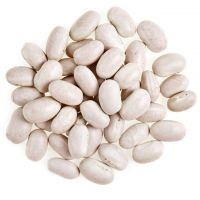 Hot Sale Organic Light Speckled Kidney Beans with Export Kidney Beans