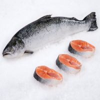 Norwegian Atlantic Wholesale Fillet Whole Round Fresh Frozen Fish Pink Salmon From Chile