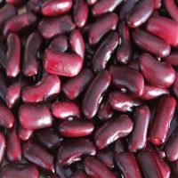 Factory Direct Sale 25kg 50kg Light/Red Speckled Kidney Beans