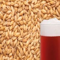 Specification animal feed Barley