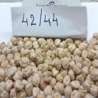 Factory Supply Desi Dried and Fully Matured Mosambi Chana in Bulk PP Bags