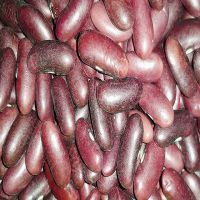Top One Wholesale Sugar Beans Organic Red Kidney Beans 