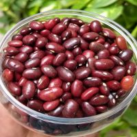 New Crop Britain Dark Red Kidney Beans for canned food