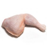 Wholesale Reasonable Price Chicken Leg Quarter