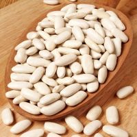 High quality Wholesale small red kidney beans price adzuki bean