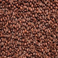 Robusta Coffee Beans Bean Robusta Robusta Coffee Beans Top Selling Robusta Coffee Beans