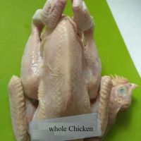 High quality frozen halal frozen Whole chicken 