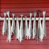 Dried Stockfish Cod from Norway,Dried Norwegian Stockfish & Cod heads/Cod and Dried Stock Fish