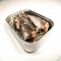 New Catching Frozen Sardine Fish Good Quality for market sale