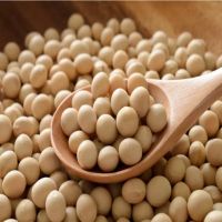 1st Soybeans Cheap Price Soya Beans Best Selling