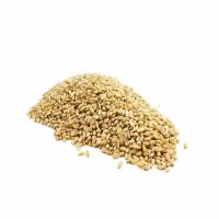 100% Organic long Wheat grain Lowest Market price