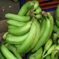 Porcelain Banana Wholesale