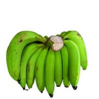 Fresh Banana new crop 2021 from vietnam