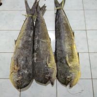 High Quality Seafood Fisch Fish Whole Round 1-2kg Fish Frozen Mahi Mahi