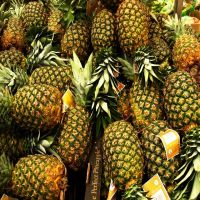 Top Choice For Fresh Pineapple The Best Pineapple With GAP Certification Have Carton Packages