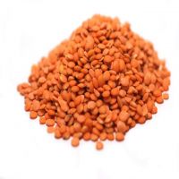 Nipper - small Australian Red lentils