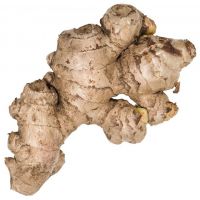 Ginger Factory Wholesale Ginger Price Fresh Ginger Needed