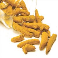Best Natural Dry and Raw Turmeric fingers High Quality