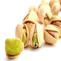 Wholesales Pistachio Hot Selling Pistachio Delicious Pistachio