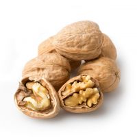 Wholesale Organic Walnuts With Good Price Wall nuts