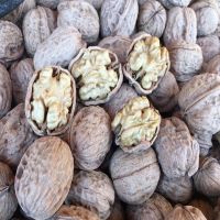 Rich in nutrition Pure natural 86%fat 100%organic walnuts kernel