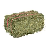 Rhode Grass Hay / Alfalfa Hay/Timothy Hay For Animal Feed