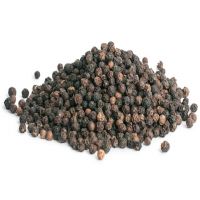 Pepper Export Green Pepper Sichuan High Quality