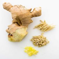 New crop hot sale fresh ginger and air dried ginger with high quality