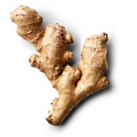 Ginger Wholesale High Quality Fresh Ginger Supplier For Air Dried Ginger