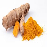 Manufacturer of Turmeric Wholesale Price Export Quality Turmeric Finger.