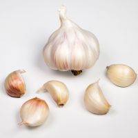 Garlic Hot Sale Fresh Garlic New Crop Export By Chinese Professional Garlic Supplier
