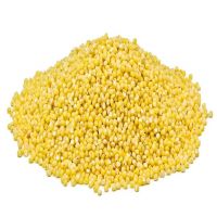 100% Natural Color Dried Yellow Red Millet Spray Pet Food Millet Seed