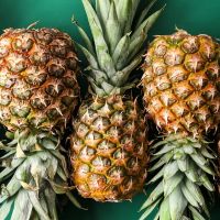 Fresh Pineapples Quality Fresh Wholesale Fresh Pineapple,BEST PRICE FRESH PINEAPPLE