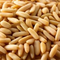 High quality pine nuts good price from china factory