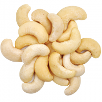 100% High Quality Cashew Nuts Cashew W180- W240- W320- W450